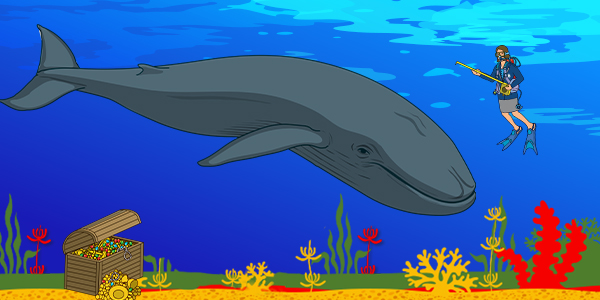 Whale and adjudicator under the water