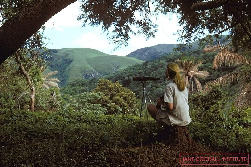 Jane looking out from The Peak, Gombe