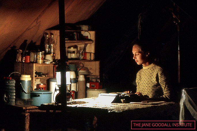 Jane writing up her field notes