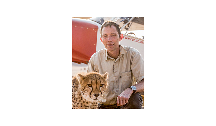 Alan Wilson, Professor