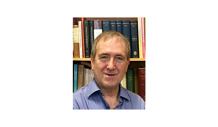 Chris Stringer, Honorary Professor