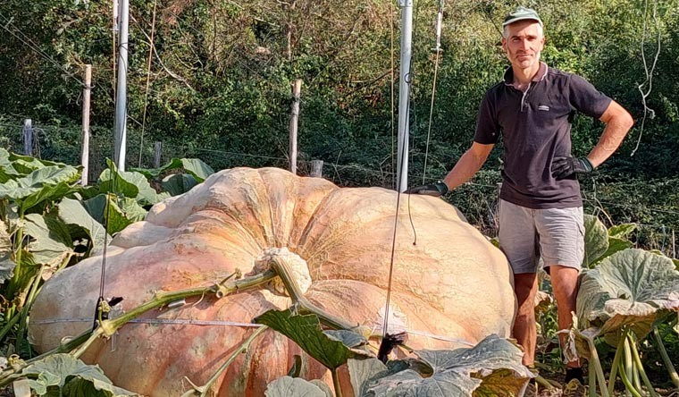 Stefano Cutrupi next to the heaviest pumpkin