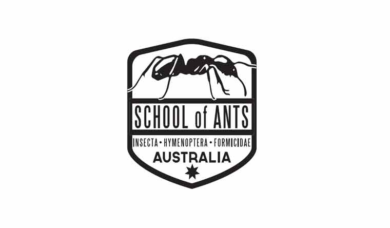 School of Ants Australia