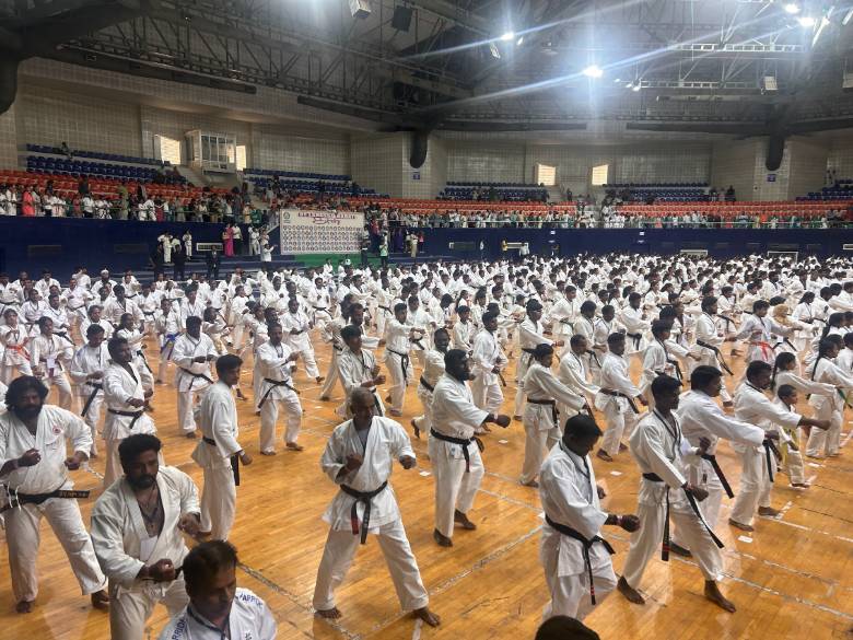 Largest karate display